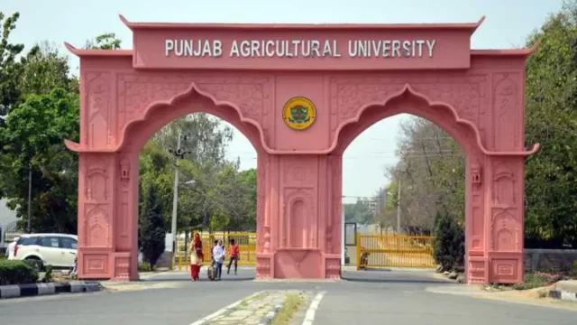 Punjab Agricultural University Ludhiana