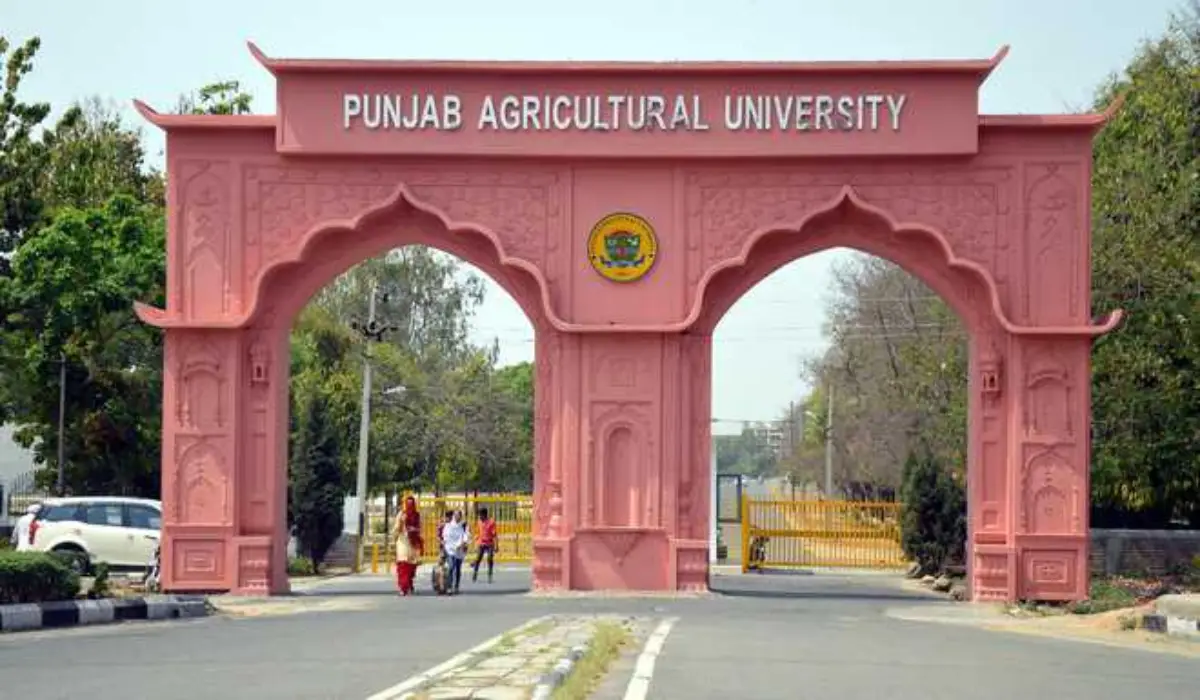 Punjab Agricultural University Ludhiana