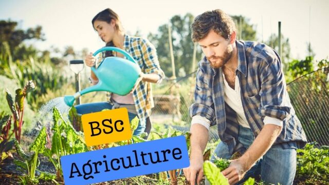 bsc agriculture