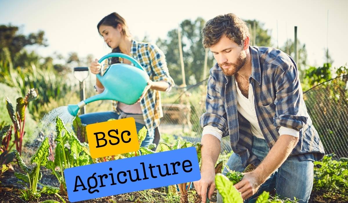 bsc agriculture